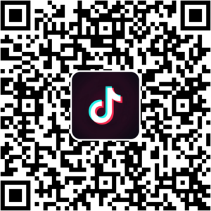 抖音小程序